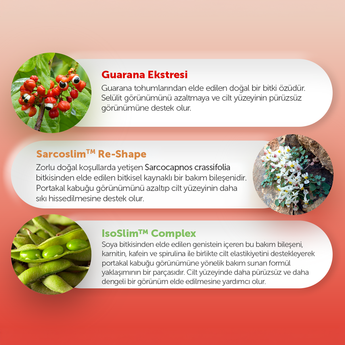 Guarana Complex Sıkılaştırıcı ve Selülit Karşıtı Vücut Kremi 100 ml - Vervegrand - Görünüm 7